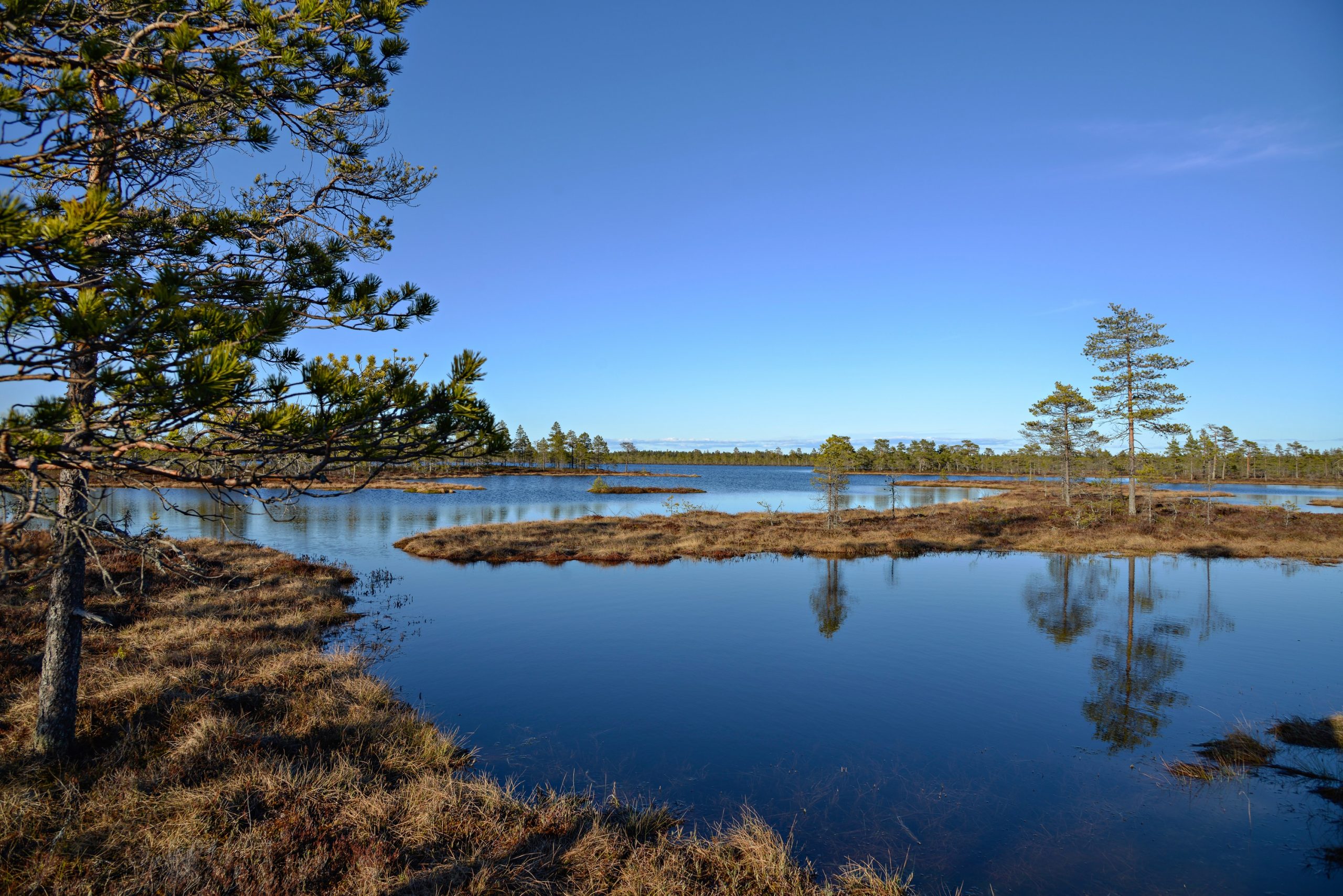 Suojärvi auringonpaisteessa