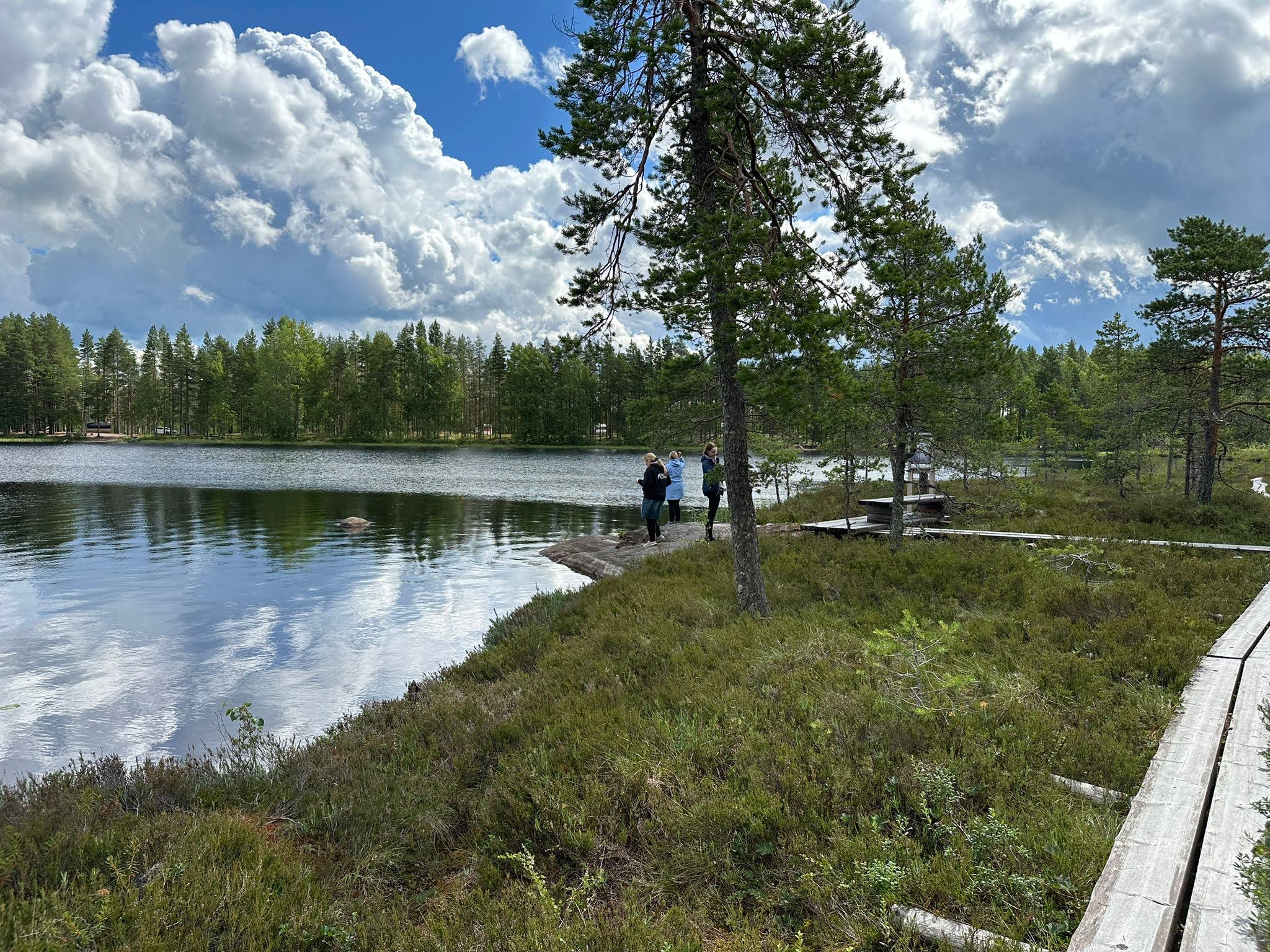 Suojärven rannalla