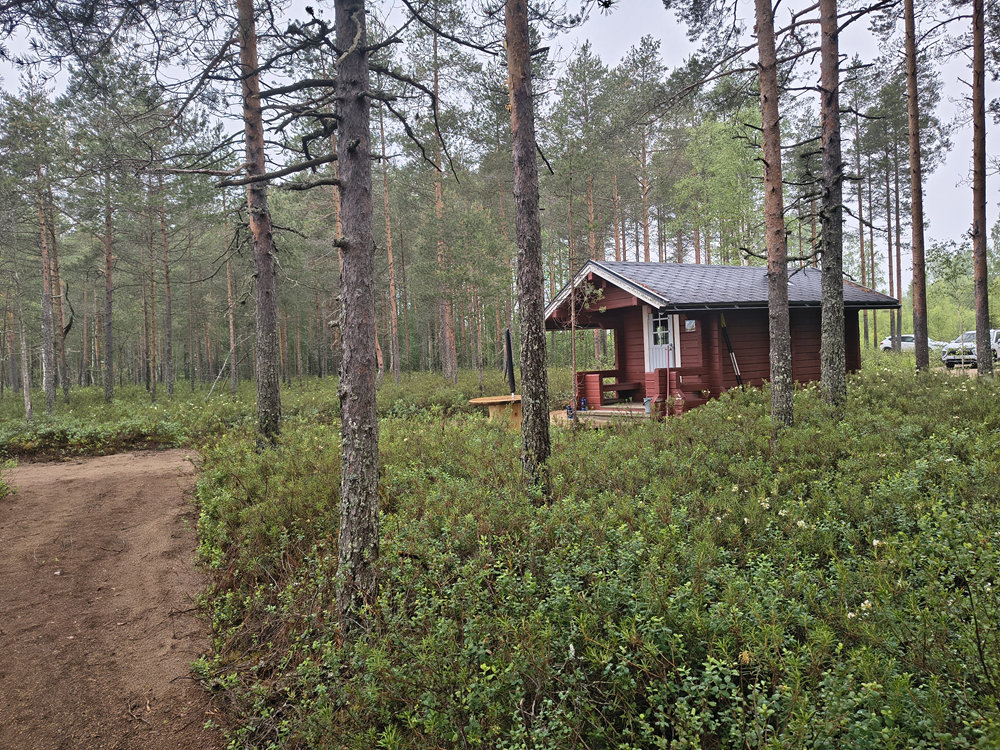 Sauna metsässä.