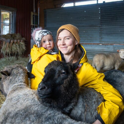 Nainen ja lapsi keltaiset sadetakit päällään lampolassa lampaiden keskellä. Henkilöt katsovat iloisina kameraan. Hetki kuvastaa tyytyväisyyttä maaseudulla elämiseen.