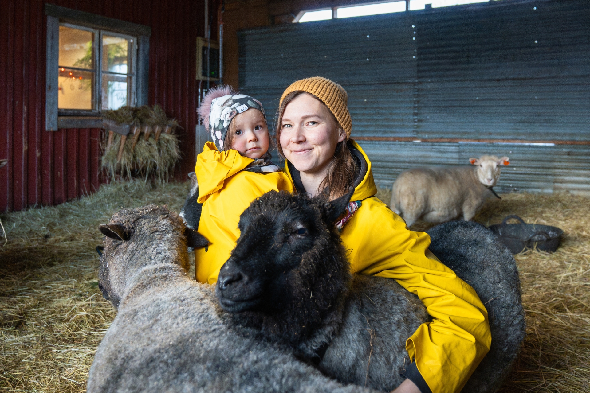Nainen ja lapsi keltaiset sadetakit päällään lampolassa lampaiden keskellä. Henkilöt katsovat iloisina kameraan. Hetki kuvastaa tyytyväisyyttä maaseudulla elämiseen.