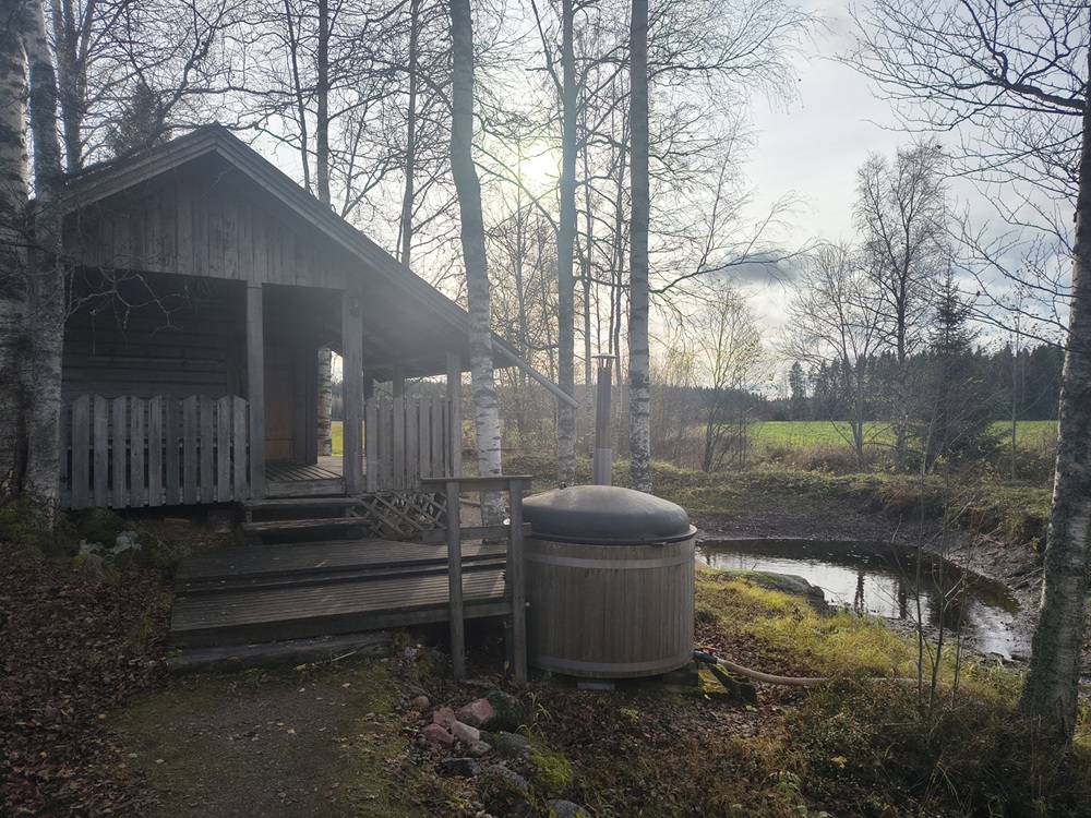 Savusanua ilta-auringossa syksyllä 2026 Jämijärven Tykkööllä.